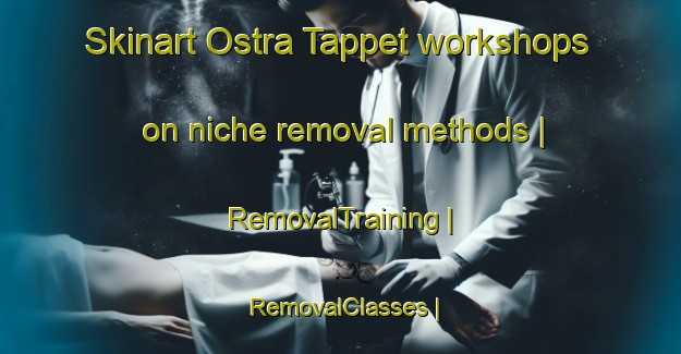 Skinart Ostra Tappet workshops on niche removal methods | RemovalTraining | RemovalClasses | SkinartTraining-Sweden